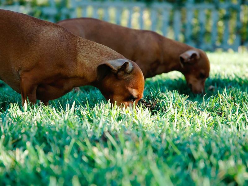 sudoku solving methods screenshot 6
