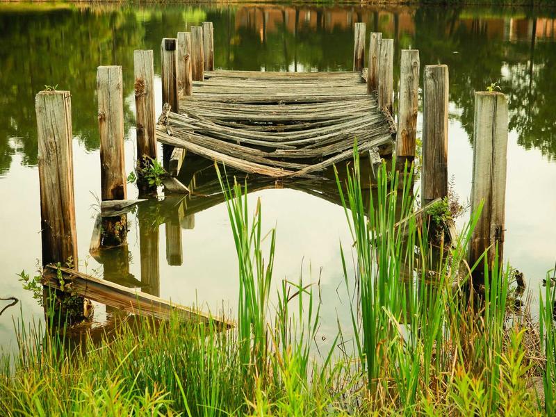 feedback screenshot 5