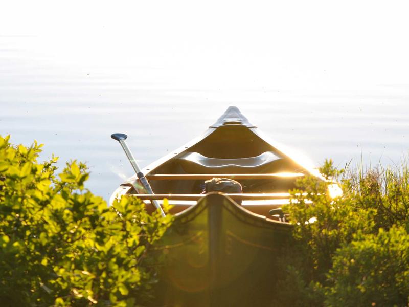 feedback screenshot 1