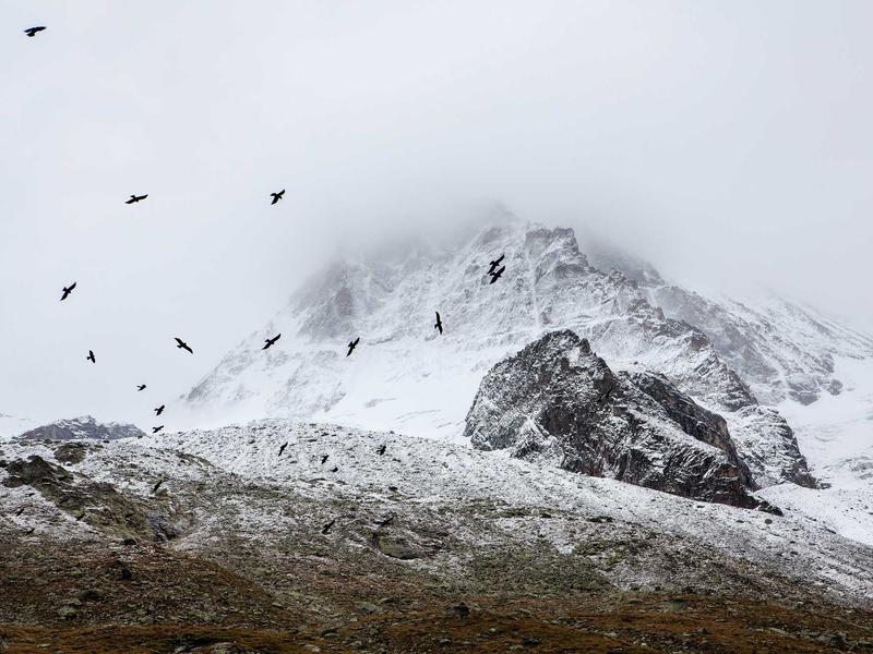 sudoku solving methods screenshot 1